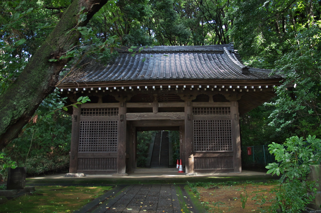 仁王門(武蔵国分寺)