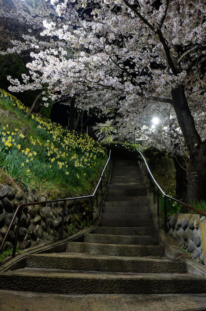 上山田西公園 夜２