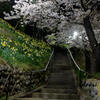上山田西公園 夜２