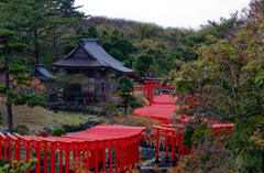 高山稲荷神社8