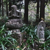廣瀬神社2