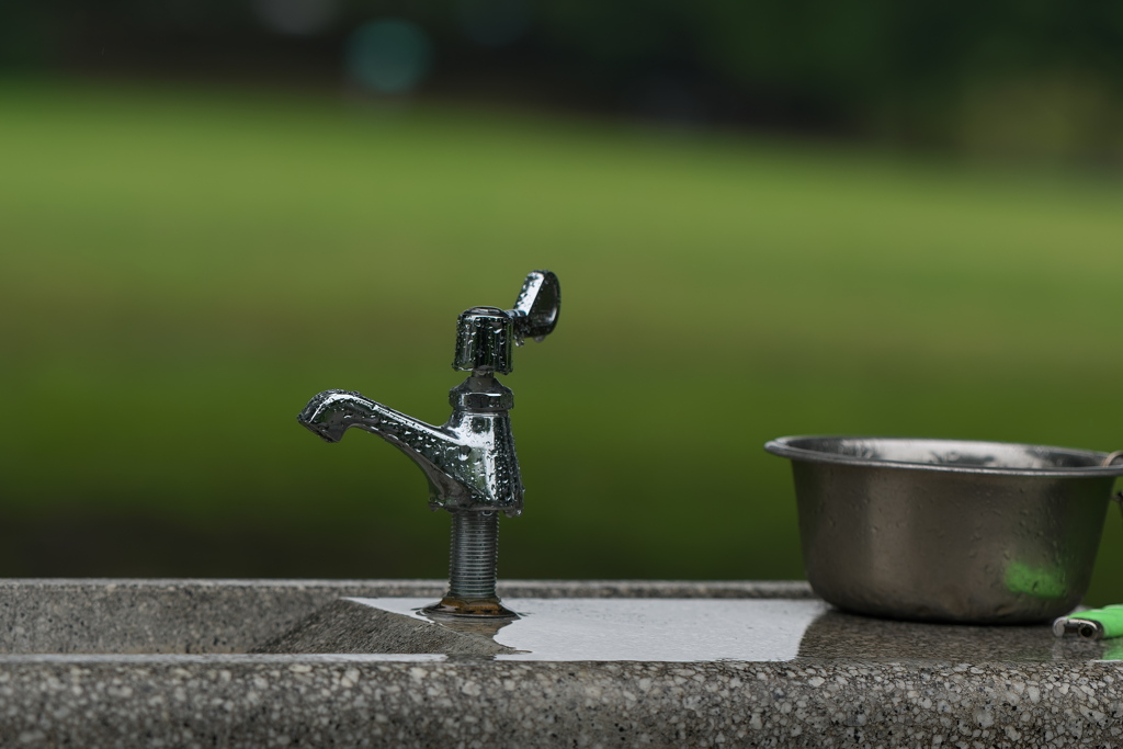 水飲み場