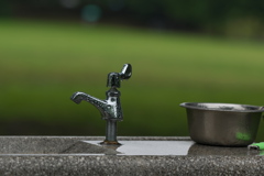 水飲み場