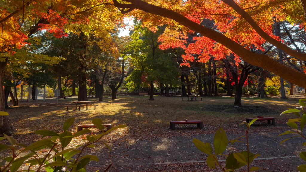 多磨霊園内 公園