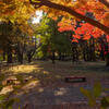 多磨霊園内 公園