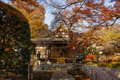 金蔵院