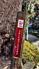 武蔵府中郷土かるた