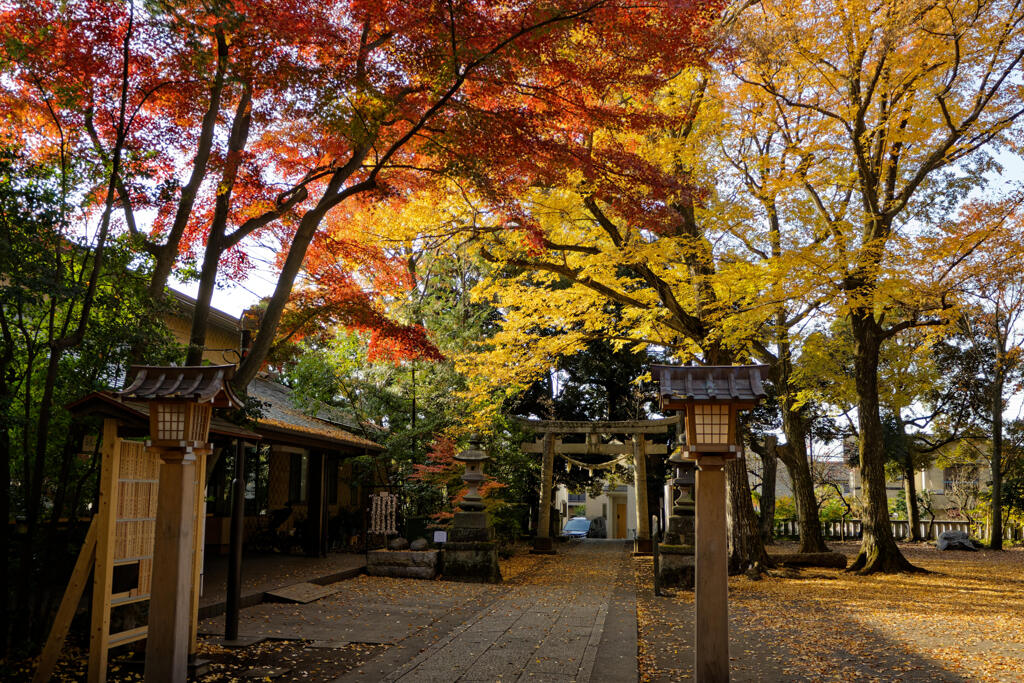 天満宮 小金井神社2