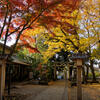 天満宮 小金井神社2