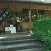 看板猫の居る店