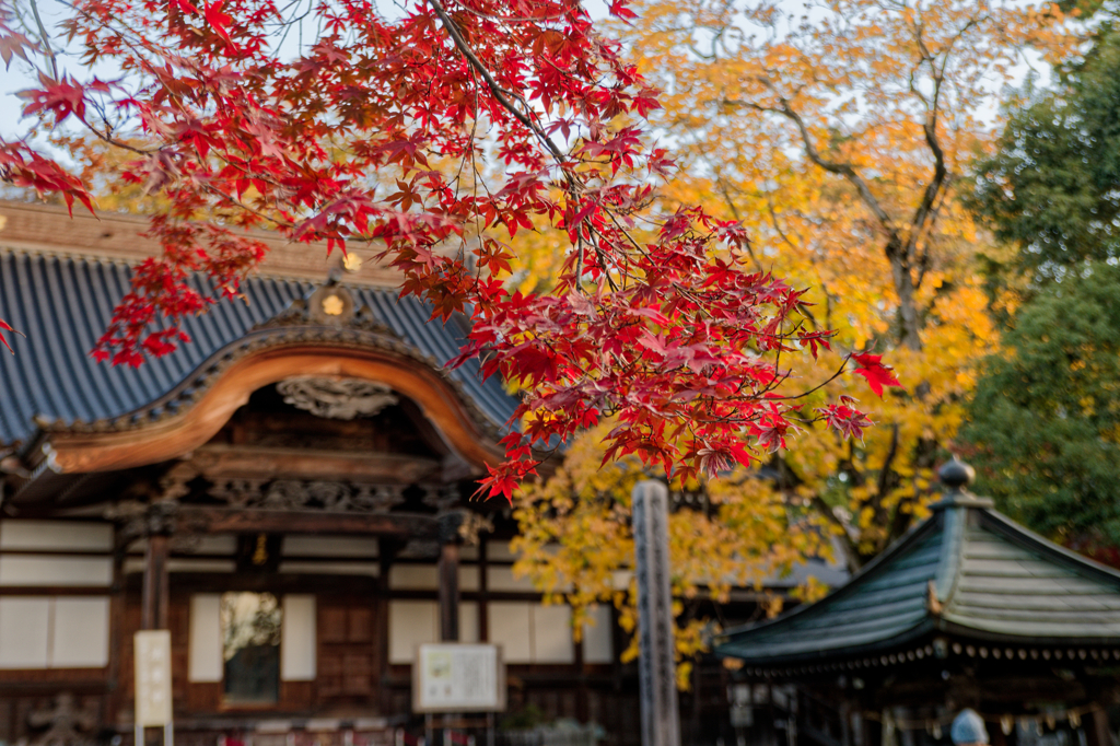 深大寺 本堂