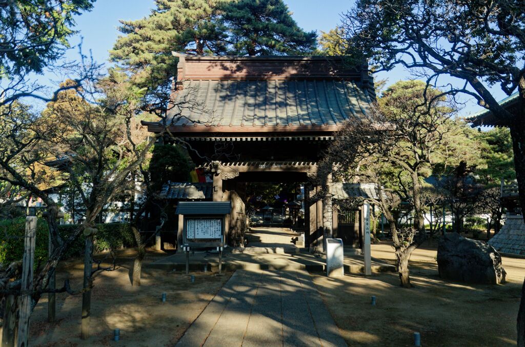 三宝寺 山門