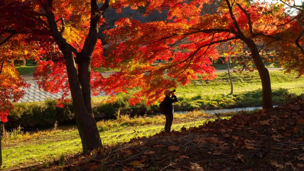 紅葉撮影
