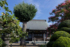 龍源寺