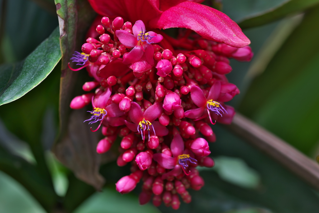 植物公園にて