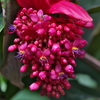 植物公園にて