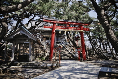 高山稲荷神社4