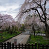 東郷寺1