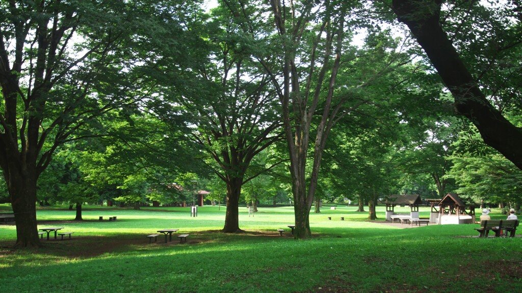 朝の公園