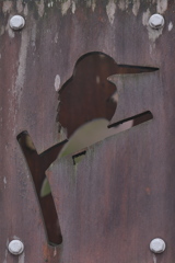 カワセミ