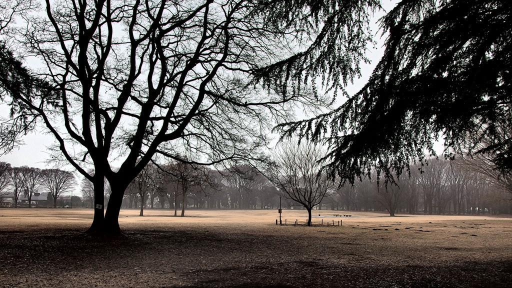 雨の公園Ⅱ