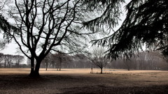 雨の公園Ⅱ