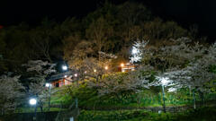 上山田西公園 夜