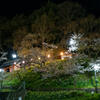 上山田西公園 夜