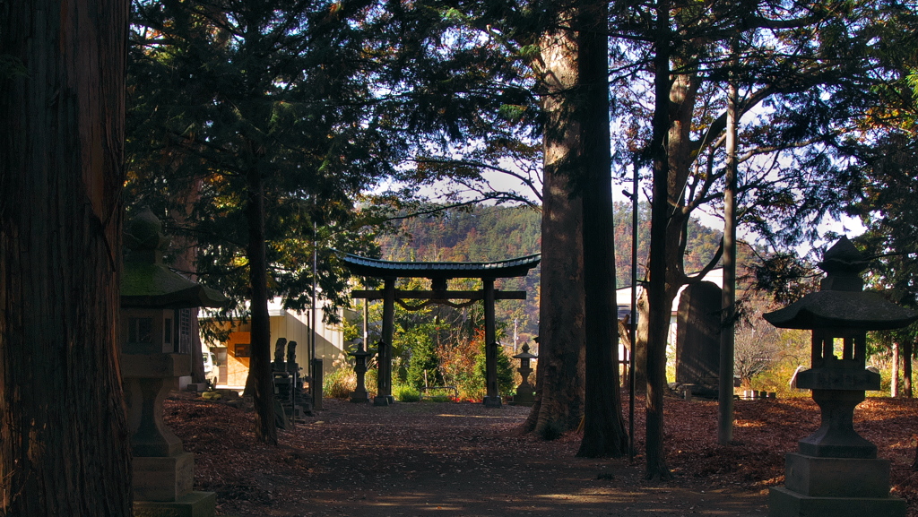 佐良志奈神社