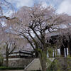 東郷寺2