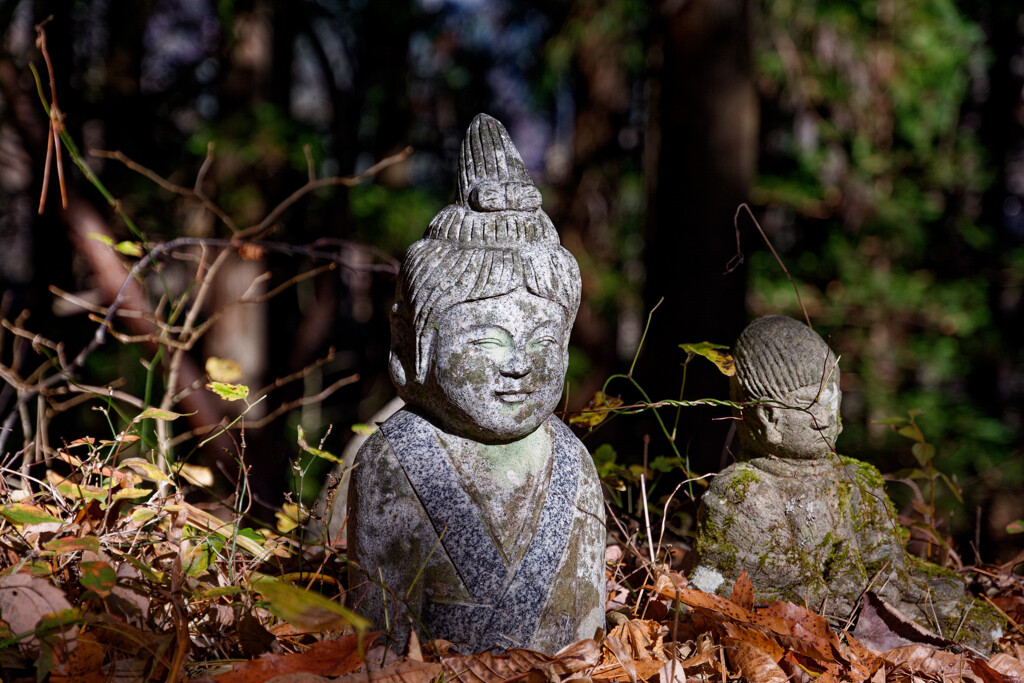 安宮神社 石神仏群3