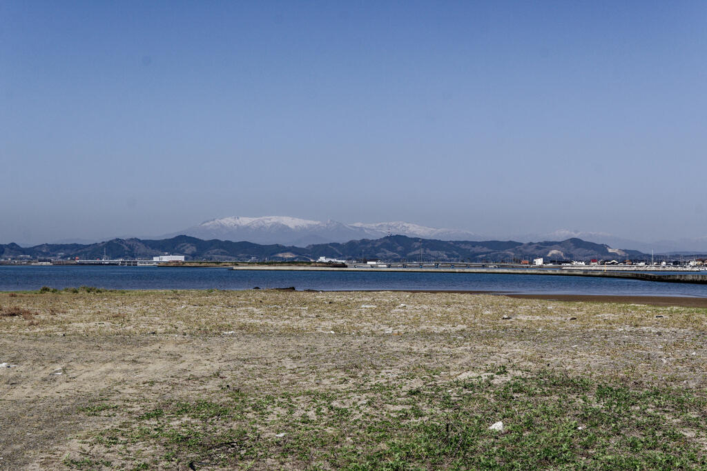 鳥の海