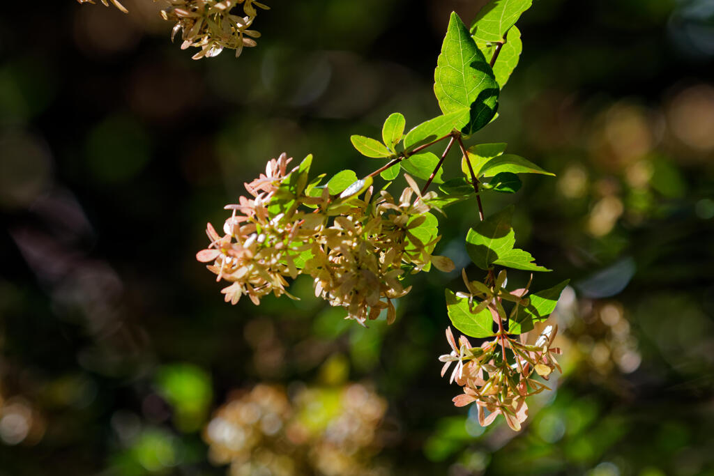 冬の日差しを浴びて