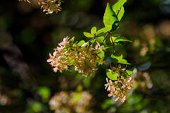 冬の日差しを浴びて