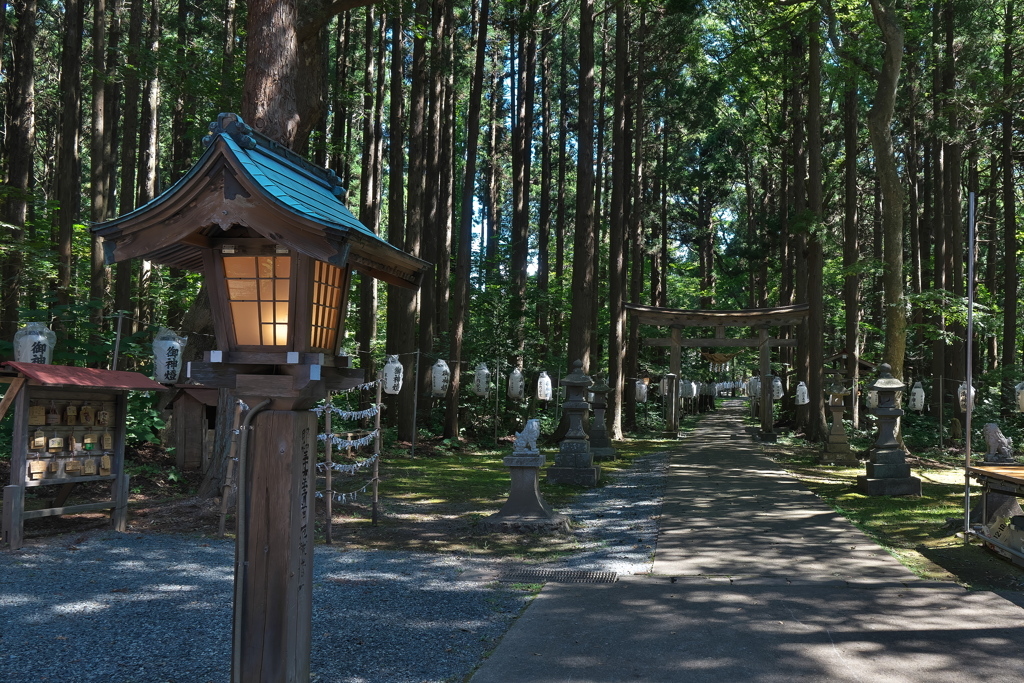 横浜八幡神社Ⅳ