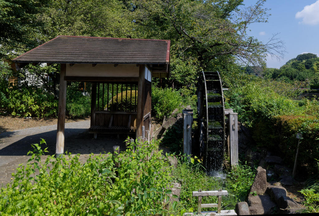 野川の水車