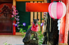 笠森稲荷神社3