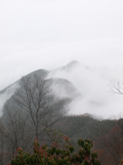 雲取山から