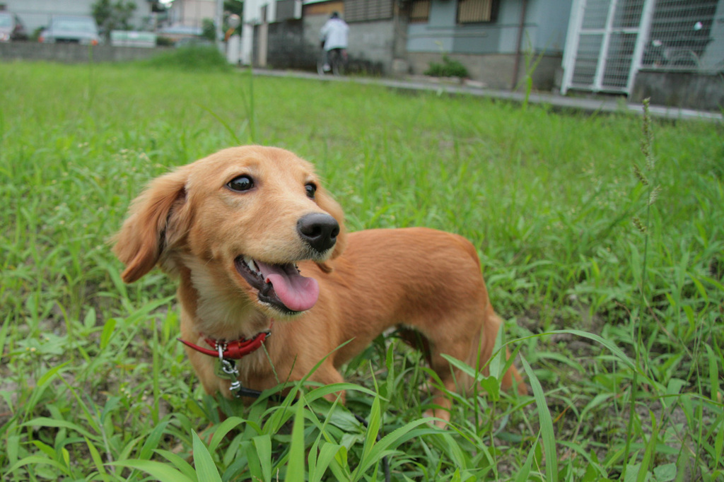 梅雨が明けたから