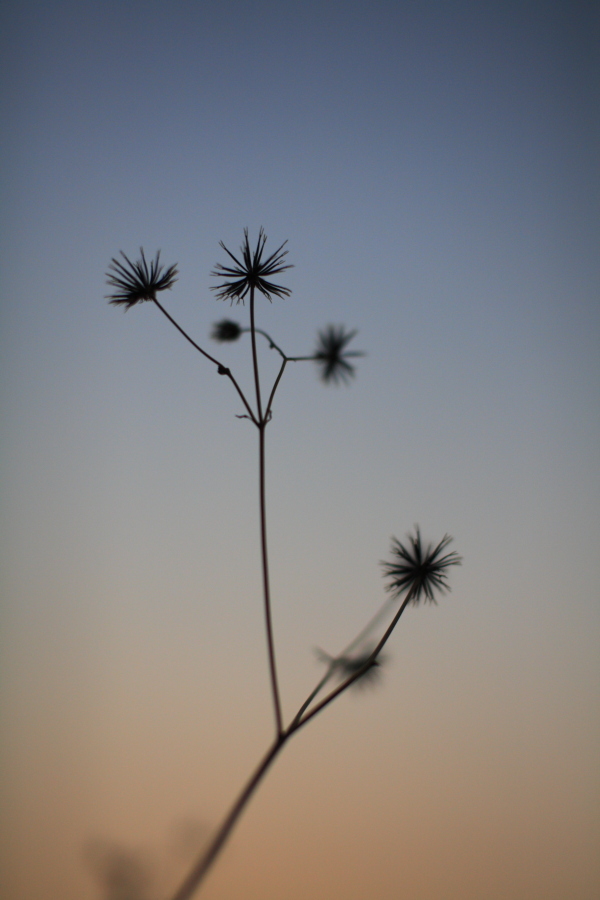 A fake flower