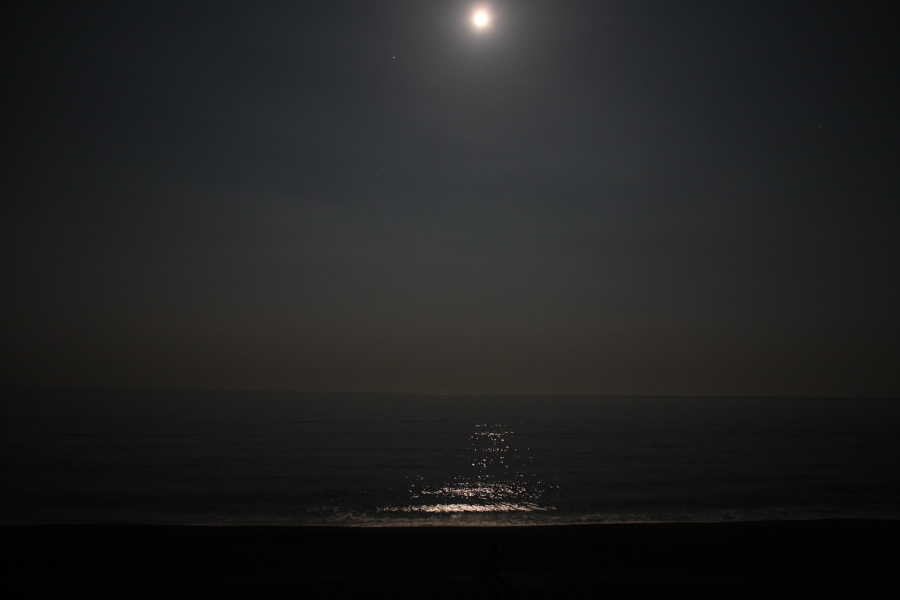 月夜の海