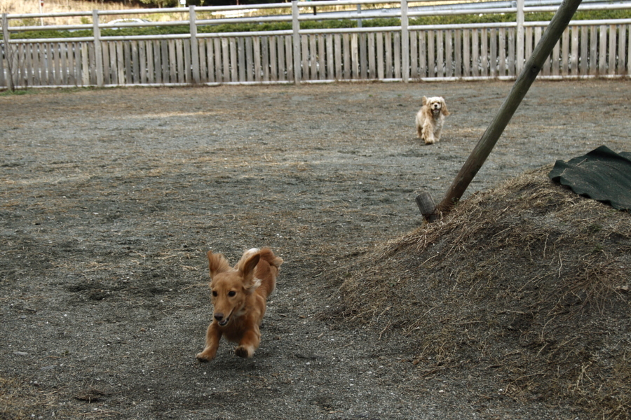 たとえ一人でも･･･