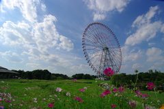 秋の散歩道