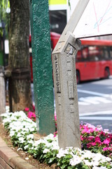 みどりの散歩道