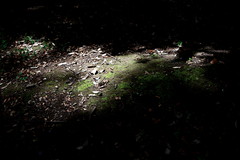 20080719_002