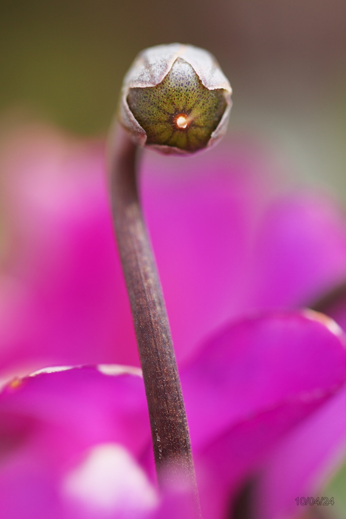 20100424_009