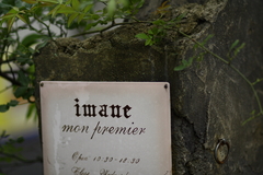 20080622_008