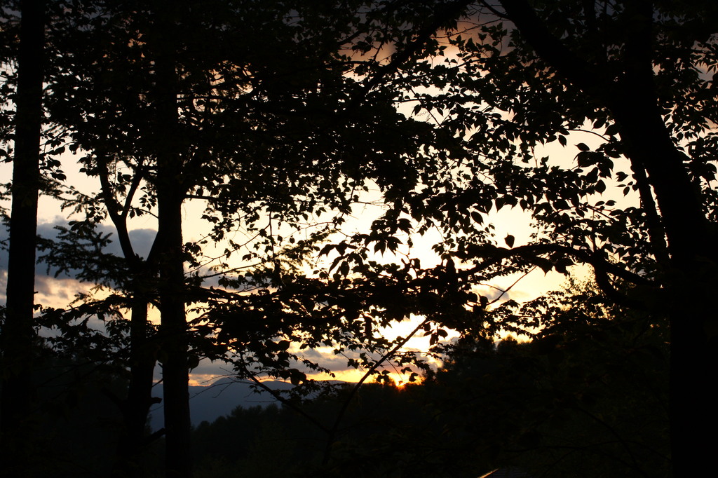 森夕陽