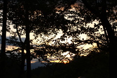 森夕陽