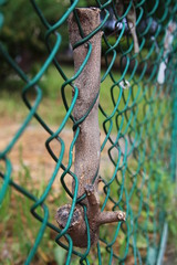 20080719_006